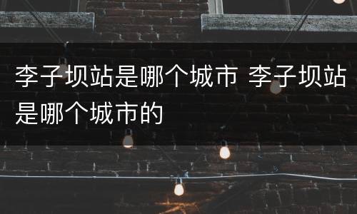 李子坝站是哪个城市 李子坝站是哪个城市的