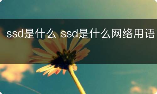 ssd是什么 ssd是什么网络用语