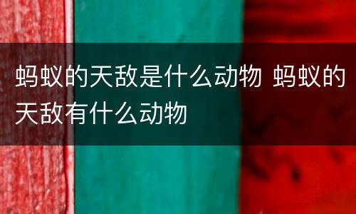 蚂蚁的天敌是什么动物 蚂蚁的天敌有什么动物