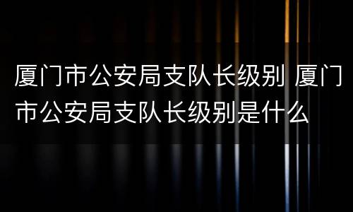 厦门市公安局支队长级别 厦门市公安局支队长级别是什么