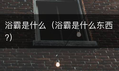 浴霸是什么（浴霸是什么东西?）