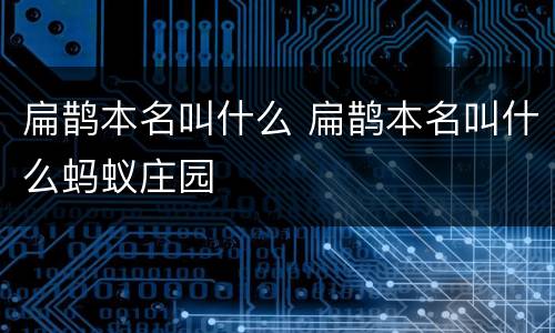 扁鹊本名叫什么 扁鹊本名叫什么蚂蚁庄园