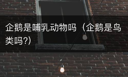 企鹅是哺乳动物吗（企鹅是鸟类吗?）