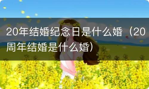 20年结婚纪念日是什么婚（20周年结婚是什么婚）