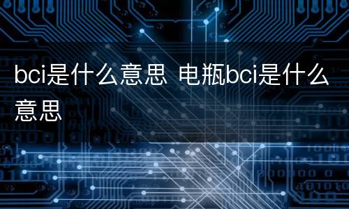 bci是什么意思 电瓶bci是什么意思