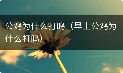公鸡为什么打鸣（早上公鸡为什么打鸣）
