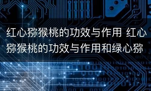 红心猕猴桃的功效与作用 红心猕猴桃的功效与作用和绿心猕猴桃