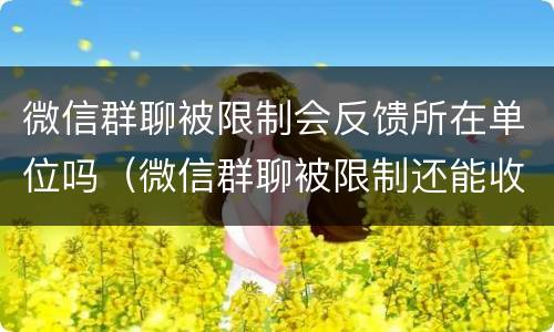 微信群聊被限制会反馈所在单位吗（微信群聊被限制还能收到消息吗）