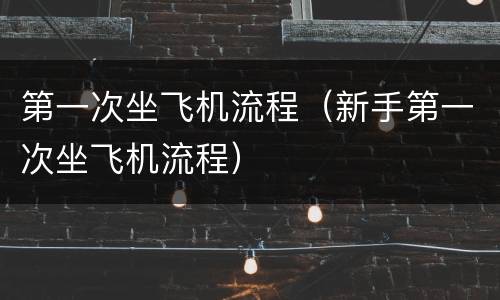 第一次坐飞机流程（新手第一次坐飞机流程）