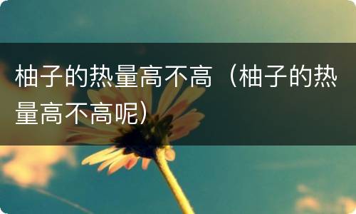 柚子的热量高不高（柚子的热量高不高呢）