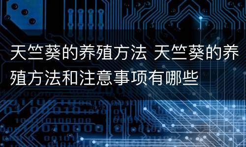 天竺葵的养殖方法 天竺葵的养殖方法和注意事项有哪些