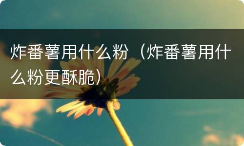 炸番薯用什么粉（炸番薯用什么粉更酥脆）