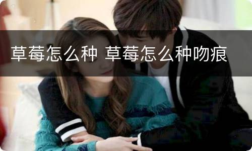 草莓怎么种 草莓怎么种吻痕