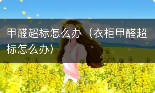甲醛超标怎么办（衣柜甲醛超标怎么办）