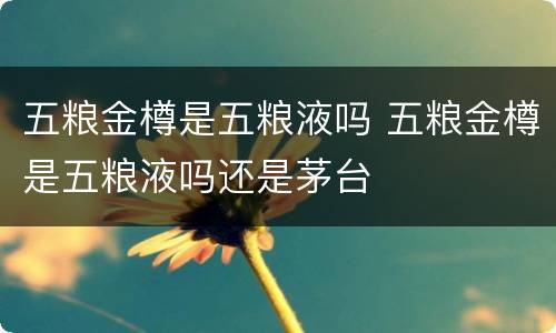 五粮金樽是五粮液吗 五粮金樽是五粮液吗还是茅台