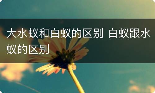 大水蚁和白蚁的区别 白蚁跟水蚁的区别