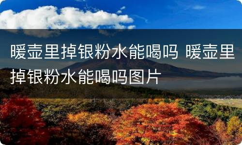 暖壶里掉银粉水能喝吗 暖壶里掉银粉水能喝吗图片