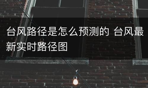 台风路径是怎么预测的 台风最新实时路径图