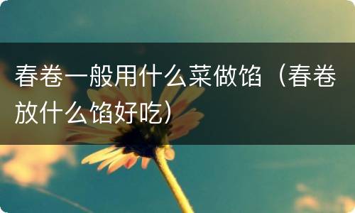 春卷一般用什么菜做馅（春卷放什么馅好吃）
