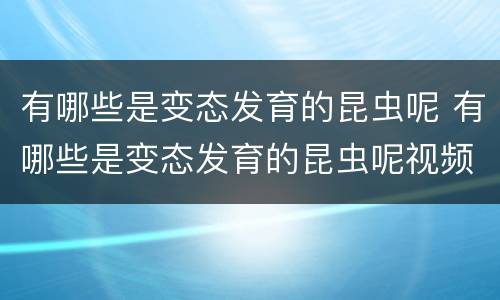 有哪些是变态发育的昆虫呢 有哪些是变态发育的昆虫呢视频