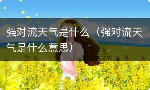 强对流天气是什么（强对流天气是什么意思）