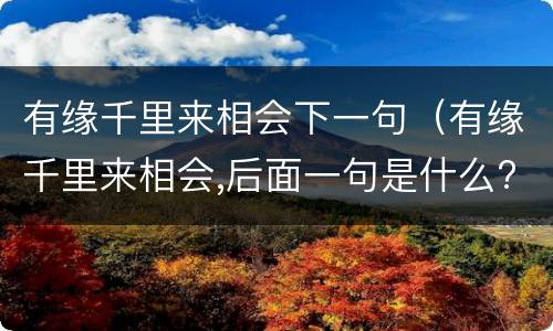 有缘千里来相会下一句（有缘千里来相会,后面一句是什么?）
