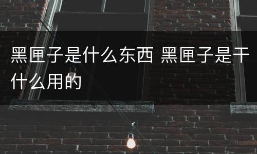 黑匣子是什么东西 黑匣子是干什么用的