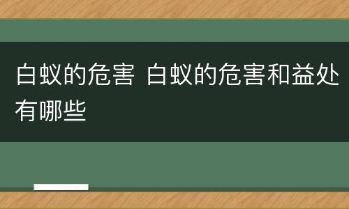 白蚁的危害 白蚁的危害和益处有哪些