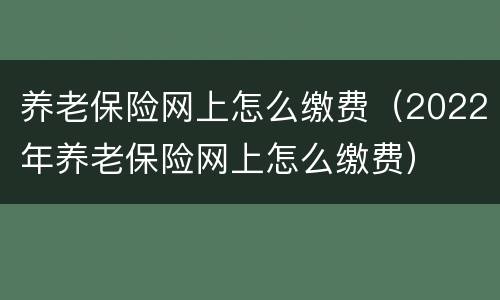 养老保险网上怎么缴费（2022年养老保险网上怎么缴费）