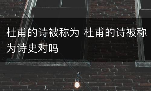 杜甫的诗被称为 杜甫的诗被称为诗史对吗
