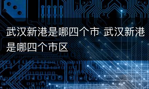 武汉新港是哪四个市 武汉新港是哪四个市区