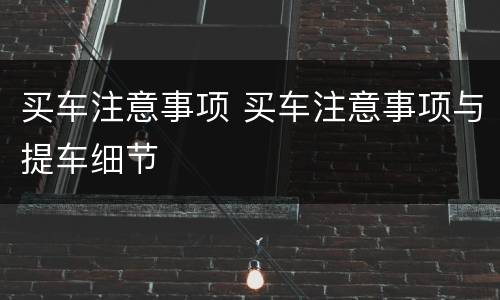 买车注意事项 买车注意事项与提车细节