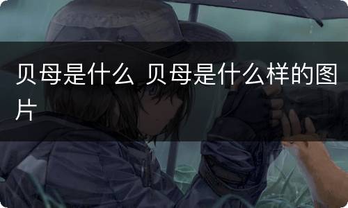 贝母是什么 贝母是什么样的图片
