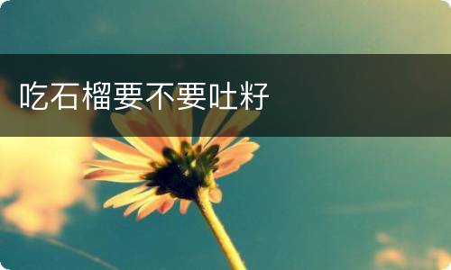吃石榴要不要吐籽