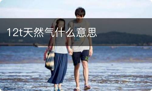 12t天然气什么意思