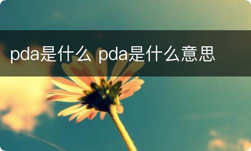 pda是什么 pda是什么意思