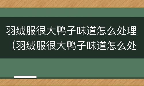 羽绒服很大鸭子味道怎么处理（羽绒服很大鸭子味道怎么处理的）