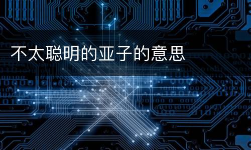 不太聪明的亚子的意思