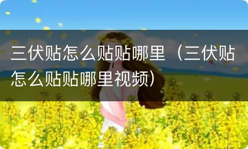 三伏贴怎么贴贴哪里（三伏贴怎么贴贴哪里视频）