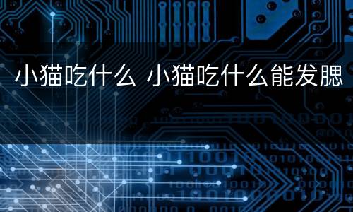 小猫吃什么 小猫吃什么能发腮