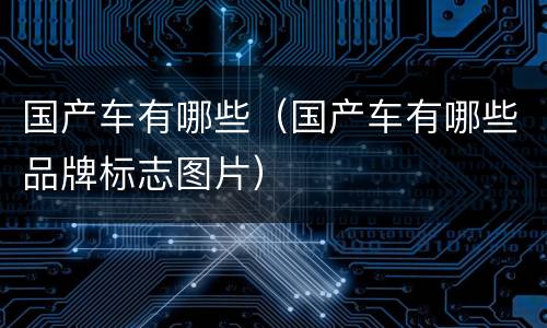 国产车有哪些（国产车有哪些品牌标志图片）
