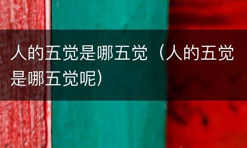 人的五觉是哪五觉（人的五觉是哪五觉呢）