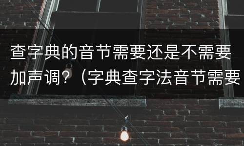 查字典的音节需要还是不需要加声调?（字典查字法音节需要加声调吗）