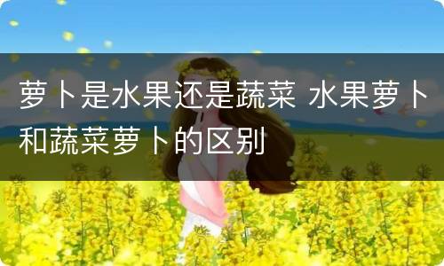 萝卜是水果还是蔬菜 水果萝卜和蔬菜萝卜的区别