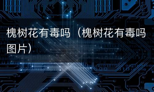 槐树花有毒吗（槐树花有毒吗图片）