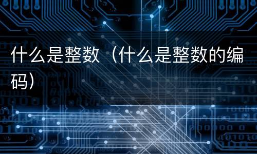 什么是整数（什么是整数的编码）
