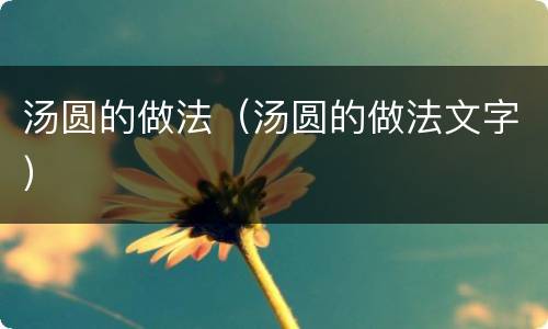 汤圆的做法（汤圆的做法文字）