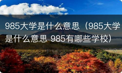 985大学是什么意思（985大学是什么意思 985有哪些学校）