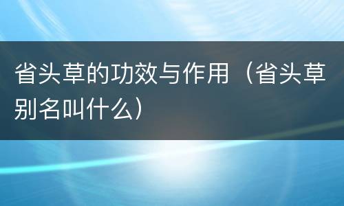 省头草的功效与作用（省头草别名叫什么）