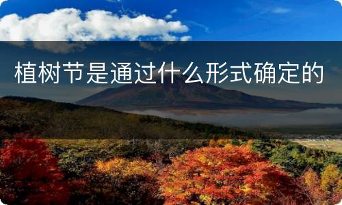 植树节是通过什么形式确定的